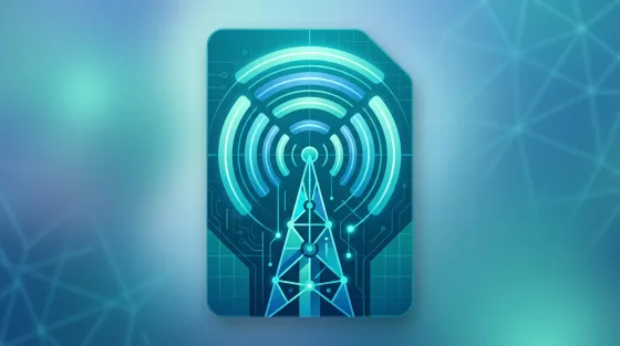 Telecommunications account security